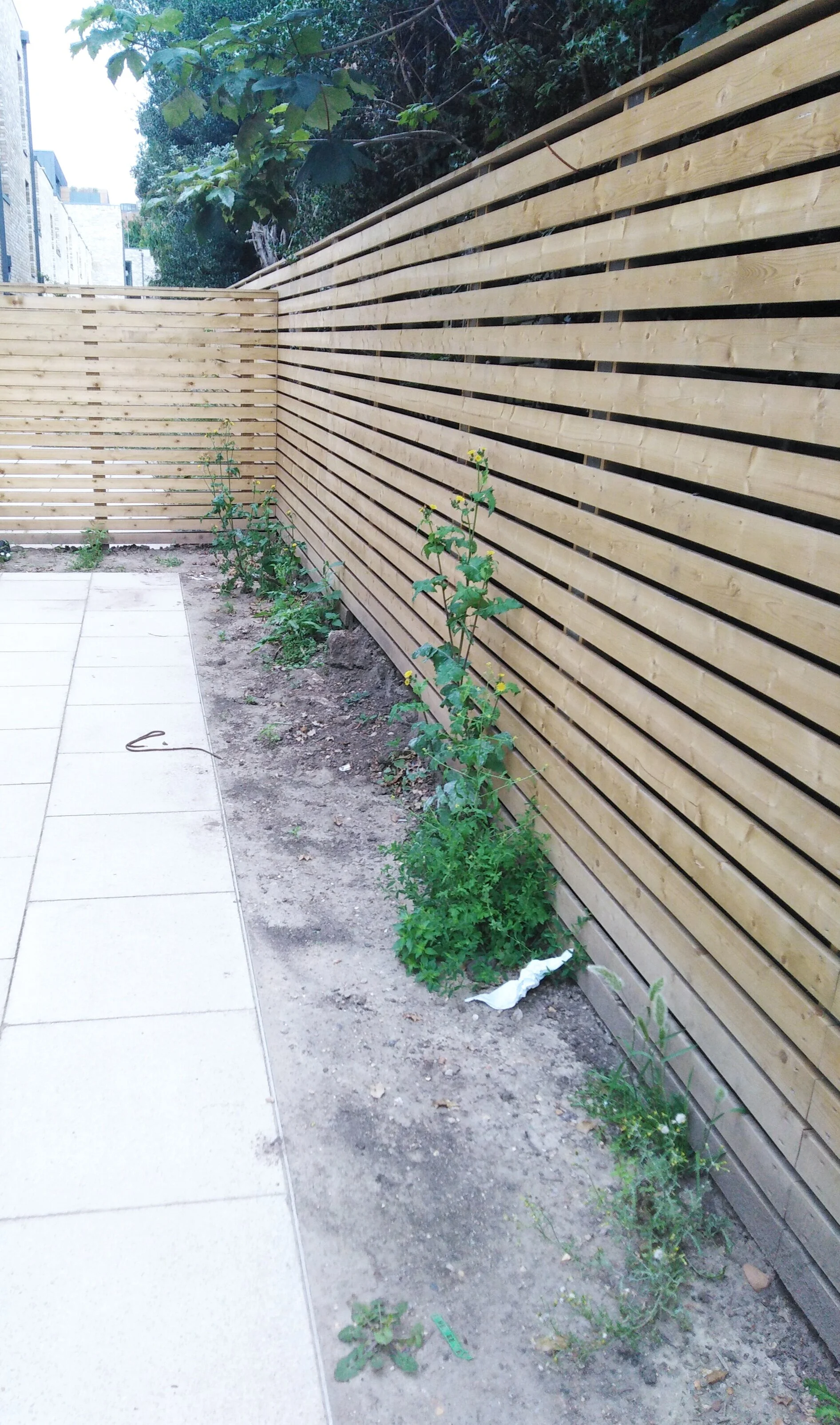 Professional landscaping design and installation in London by Torrington Design and Build
