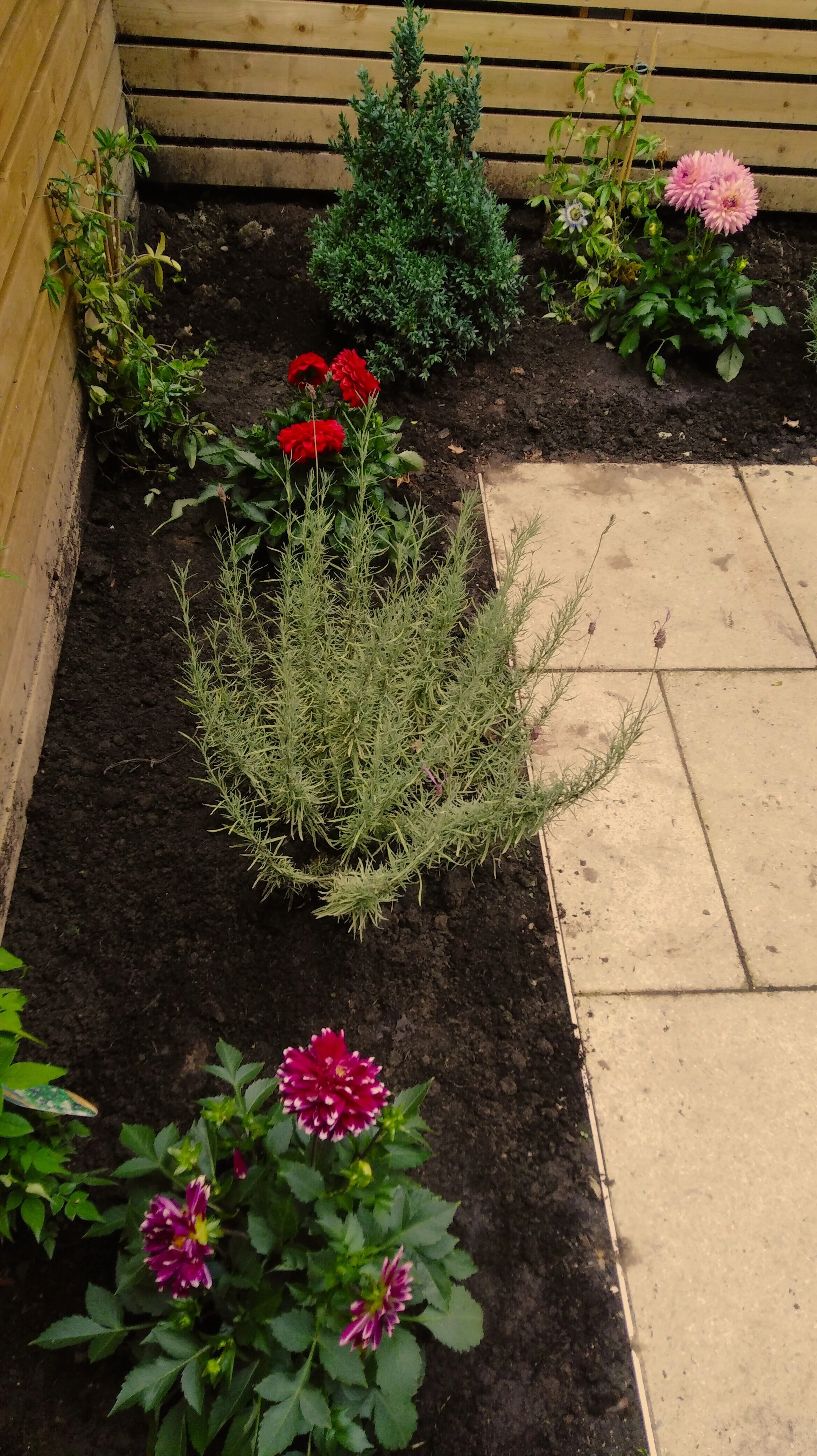 Garden design and outdoor space transformation, London and South East